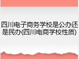 四川电子商务学校是公办还是民办(四川电商学校性质)
