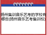 扬州集训音乐艺考的学校有哪些(扬州音乐艺考集训校)