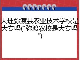 大理弥渡县农业技术学校是大专吗("弥渡农校是大专吗")