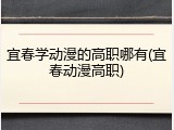 宜春学动漫的高职哪有(宜春动漫高职)