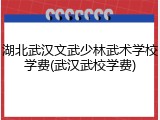 湖北武汉文武少林武术学校学费(武汉武校学费)