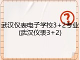 武汉仪表电子学校3+2专业(武汉仪表3+2)