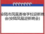 安陆市凤凰寄宿学校迎新晚会(安陆凤凰迎新晚会)