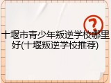 十堰市青少年叛逆学校哪里好(十堰叛逆学校推荐)