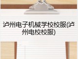 泸州电子机械学校校服(泸州电校校服)