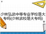 少林弘武中等专业学校是大专吗(少林武校是大专吗)