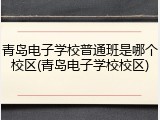 青岛电子学校普通班是哪个校区(青岛电子学校校区)