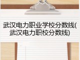武汉电力职业学校分数线(武汉电力职校分数线)