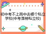 初中考不上高中去哪个私立学校(中考落榜私立校)