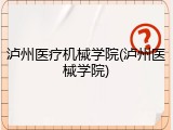 泸州医疗机械学院(泸州医械学院)