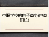 中职学校的电子商务(电商职校)