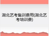 湖北艺考集训费用(湖北艺考培训费)