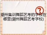 潮州集训舞蹈艺考的学校在哪里(潮州舞蹈艺考学校)