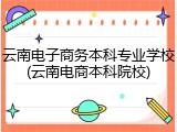 云南电子商务本科专业学校(云南电商本科院校)
