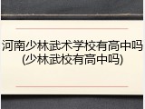 河南少林武术学校有高中吗(少林武校有高中吗)