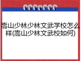 嵩山少林少林文武学校怎么样(嵩山少林文武校如何)