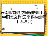 云南哪有数控编程培训中心中职怎么样(云南数控编程中职培训)