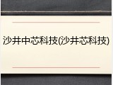 沙井中芯科技(沙井芯科技)