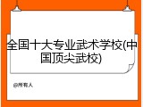 全国十大专业武术学校(中国顶尖武校)