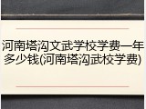 河南塔沟文武学校学费一年多少钱(河南塔沟武校学费)