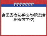 合肥寄宿制学校有哪些(合肥寄宿学校)