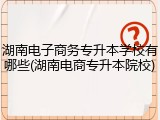 湖南电子商务专升本学校有哪些(湖南电商专升本院校)