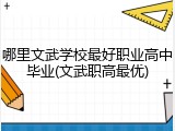 哪里文武学校最好职业高中毕业(文武职高最优)