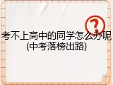 考不上高中的同学怎么办呢(中考落榜出路)