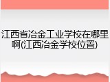 江西省冶金工业学校在哪里啊(江西冶金学校位置)