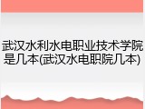武汉水利水电职业技术学院是几本(武汉水电职院几本)