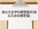 湖北文武学校哪里最好(湖北文武校哪家强)