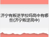 济宁有叛逆学校吗高中有哪些(济宁叛逆高中)