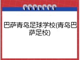 巴萨青岛足球学校(青岛巴萨足校)