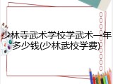 少林寺武术学校学武术一年多少钱(少林武校学费)