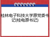 桂林电子科技大学原党委书记(桂电原书记)