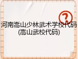 河南嵩山少林武术学校代码(嵩山武校代码)