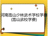 河南嵩山少林武术学校学费(嵩山武校学费)