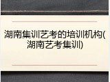 湖南集训艺考的培训机构(湖南艺考集训)