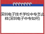 深圳电子技术学校中专怎么样(深圳电子中专如何)