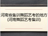 河南省集训舞蹈艺考的地方(河南舞蹈艺考集训)