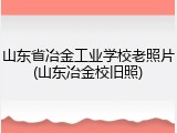 山东省冶金工业学校老照片(山东冶金校旧照)