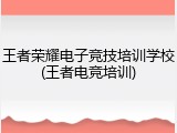 王者荣耀电子竞技培训学校(王者电竞培训)
