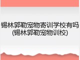 锡林郭勒宠物寄训学校有吗(锡林郭勒宠物训校)