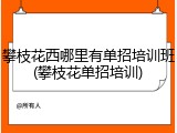 攀枝花西哪里有单招培训班(攀枝花单招培训)