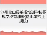 沧州盐山县单招培训学校正规学校有那些(盐山单招正规校)