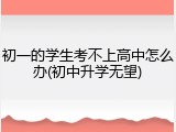初一的学生考不上高中怎么办(初中升学无望)