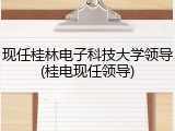 现任桂林电子科技大学领导(桂电现任领导)