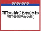 周口集训音乐艺考的学校(周口音乐艺考培训)