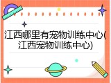 江西哪里有宠物训练中心(江西宠物训练中心)