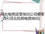 河北电商运营培训公司哪家好(河北优质电商培训)
